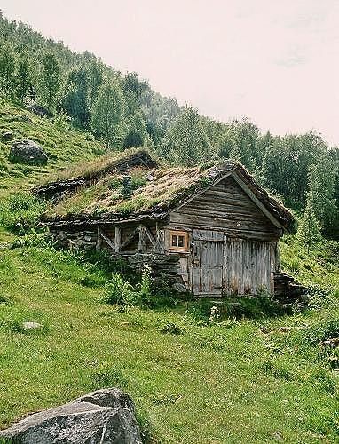 Casa Hobbit, Grass Roof, Forest Cabin, Cottage In The Woods, Cabins And Cottages, Forest House, Cabin Life, Cabin Homes, Abandoned Houses