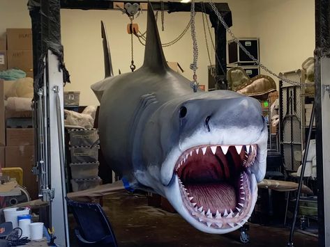 Last Replica Shark From 'Jaws' Gets Makeover From Effects Master Nicotero : NPR Bruce The Shark, Shark Things, Jaws Shark, Slasher Horror, Robert Shaw, Shark Photos, Halloween Photo Booth, Jaws Movie, Academy Museum