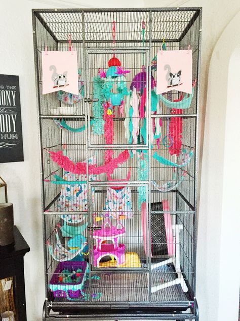 Our girls' Sugar Glider Cage. ❤️❤️❤️                                                                                                                                                                                 More Diy Sugar Glider Cage, Reptile Setup, Sugar Glider Care, Pet Rat Cages, Sugar Glider Pet, Pet Squirrel, Sugar Glider Cage, Sugar Glider Toys, Ferret Cage