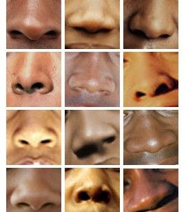 Black like me -- but not too black Nose Jobs, Black Like Me, Face Anatomy, Face Study, Nose Drawing, Face Drawing Reference, Nose Shapes, Body Reference Poses, Human Poses Reference