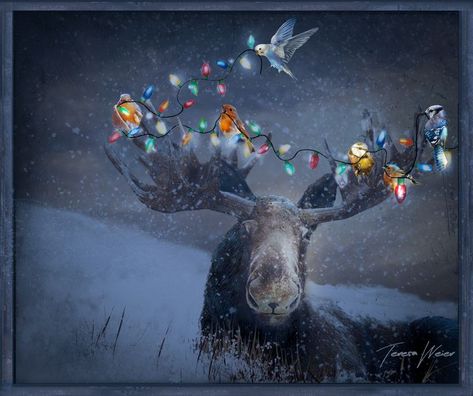 Celebrating Christmas - Weier Unique Moose Pictures, Moose Christmas, Christmas Moose, Christmas Canvas, Watercolor Canvas, Victorian Christmas, Christmas Deer, Car Decor, Art Sur Toile