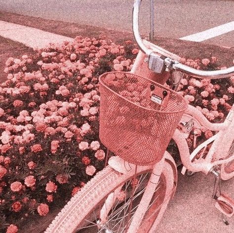 Preppy Phone, Tout Rose, Pink Bike, Neutral Pink, Peach Aesthetic, Baby Pink Aesthetic, Gold Aesthetic, Pastel Pink Aesthetic, Pink Vibes