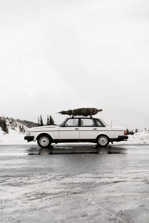 white car with christmas tree on top with snow and fog in background Car With Christmas Tree On Top, Holiday Photography Ideas, Christmas Tree On Car, Holiday Photo Shoot, Ski Chic, Car Christmas Tree, Snowy Road, Winter Aesthetics, Aussie Christmas