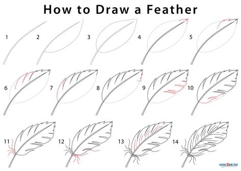 How to Draw a Feather (Step by Step Pictures) How To Draw Feathers, Doodle Trees, Trin For Trin Tegning, Feather Drawing, Flower Drawing Tutorials, Fleurs Diy, Everyday Art, Floral Drawing, Feather Wall