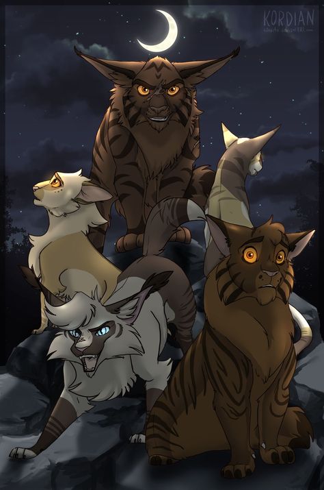 Cats Phone Wallpaper, Feral Oc, Gang Cat, Warrior Cats Funny, Cat Fanart, Warrior Cat Art, Warrior Cats Series, Cat Phone Wallpaper, Cats Happy