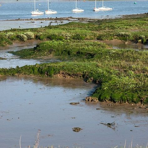 River Deben estuary at Woodbridge, Suffolk, UK. Woodbridge Suffolk, Uk Holiday, Standup Paddle Board, Uk Holidays, Wood Bridge, Spring Inspiration, Wales England, Outdoor Fun, Memory Lane