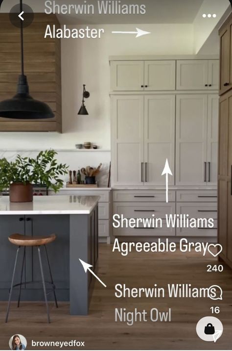 Light Gray And Dark Gray Cabinets, Greige Paint Colors Cabinets, Light Kitchen Colors Schemes, Cream And Grey Kitchen Cabinets, Kitchen Cabinets Color 2023, Creamy Living Room Decor, Alabaster Agreeable Gray, Cabinet Color For Dark Floors, Kitchen Colors Schemes Dark Floors