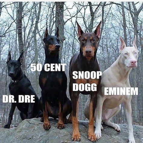 Eminem Snoop Dogg Dr Dre, Eminem And Snoop Dogg, Aesthetic Eminem, Eminem Pfp, Snoop Dogg Funny, Eminem Pictures, Eminem Aesthetic, Moms Spaghetti, Eminem Wallpaper