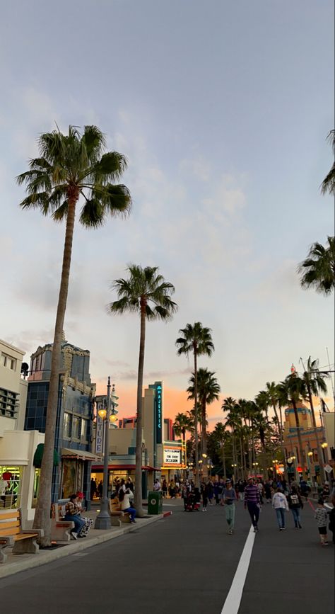 sunset, palm trees, disney world, hollywood studios Orlando Florida Aesthetic Disney, Universal Studios Florida Aesthetic, Disney Vacation Aesthetic, Aesthetic Disney World, Disneyland Florida Aesthetic, Orlando Florida Disney World, Disney In The Summer, Disney Florida Aesthetic, Walt Disney Aesthetic