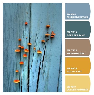 Paint colors from ColorSnap by Sherwin-Williams Bluebird Feather Sherwin Williams, Sherwin Williams Blue, Alaska House, Sherwin Williams Colors, Exterior Paint Color, Blue Paint Colors, Pallet Painting, Home Porch, Painted Floors