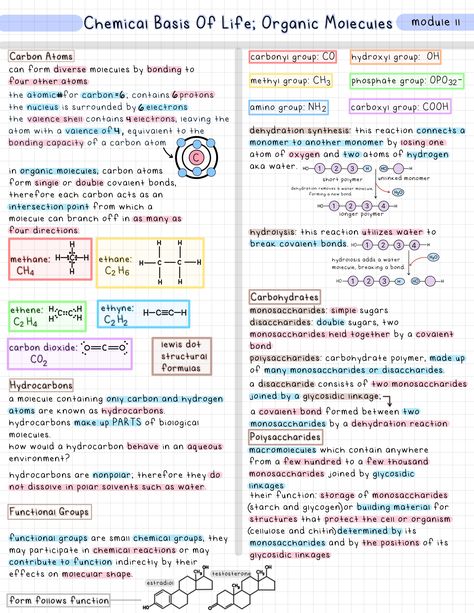 My notes for biology class, made on Goodnotes!! :) Chemistry Of Life Biology Notes, Goodnotes Biology Notes, Excretion Biology Notes, Biochem Notes, Class 12 Biology Notes, Ap Biology Notes, Notes For Biology, Cell Biology Notes, Microbiology Notes