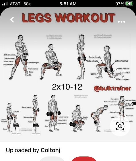 Leg Work Out For Men, Work Out Leg Day, Leg Dumbell Workout For Men, Dumbell Legs Workout, Leg Exercises At Home Men, Leg Day Workout With Dumbbells, Legs Workout At Gym, Shredded Legs Workout, Bulk Legs Workout