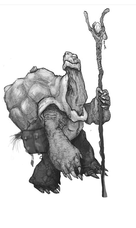 Turtle Character Design, Gothic Fantasy Art, Japanese Tattoo Art, Dungeons And Dragons Characters, Dnd Art, Creature Concept Art, Animation Design, Illustration Character Design, Dnd Characters