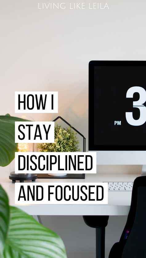 How I Stay Disciplined and Focused - Living like Leila Focus Tips, Stay Disciplined, Habit Building, Xero Shoes, Power Of Focus, 20 Minute Yoga, Hour Workout, How To Focus, Workout Snacks