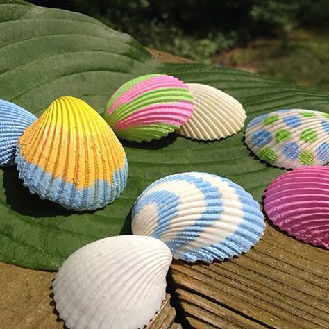 1000+ images about SEASHELLS on Pinterest | Seashells, Clam Shells ... Shells Painting Ideas, Shells Painting Acrylic, Painted Shells Ideas, Painting On Shells Seashells Ideas, Shell Painting Easy, Seashell Painting Ideas Easy, Seashell Painting Acrylic, Painting Shells Ideas, Painted Sea Shells Ideas