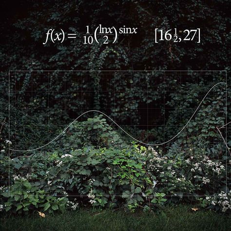 Found Functions series by Nikki Graziano Maths In Nature, Math Meeting, Wired Magazine, Physics And Mathematics, Love Math, Math Art, Studying Inspo, Photo Series, Equations