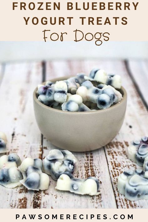 Yogurt Dog Treats, Blueberry Frozen Yogurt, Homemade Frozen Yogurt, Homemade Dog Cookies, Frozen Yogurt Bites, Weigh Watchers, Easy Dog Treat Recipes, Doggy Treats, Frozen Dog Treats