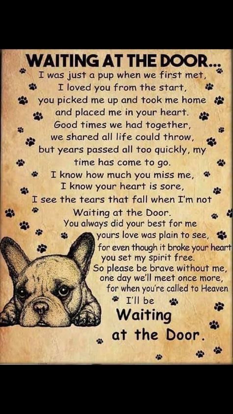 Bulldog Quotes, Dog Poems, Dog Memorial Tattoos, French Bulldog Art, Healthy Dog Treats Homemade, Frenchie Mom, Frenchie Bulldog, French Bull, French Bulldog Puppies