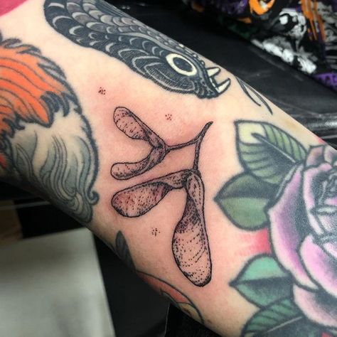 Woodsy Tattoos, Small Nature Tattoo, Gap Filler Tattoo, Aesthetic Tattoo Ideas, Filler Tattoo, Hipster Tattoo, Woodcut Tattoo, Dinosaur Tattoos, Bug Tattoo