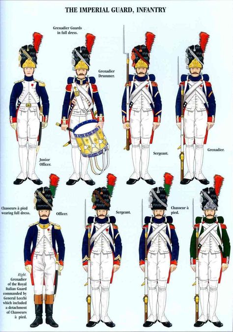 Napoleon French, First French Empire, American Uniform, Waterloo 1815, Century Uniforms, Wwii Uniforms, English Royal Family, Battle Of Waterloo, Napoleon Bonaparte