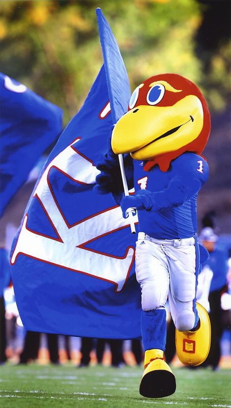 Kansas University mascot and flag Kansas University Jayhawks, Kansas University Aesthetic, College Painting Ideas, Ku Football, Kansas Jayhawks Football, Ku Basketball, Campus Landscape, Kansas Basketball, College Mascot