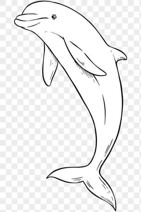 Dolphin Clipart Black And White, Orca Art Drawing, Dolphin Cartoon, Dolphin Illustration, Dolphin Clipart, Dolphin Drawing, Dolphin Images, Dolphin Painting, Whale Drawing