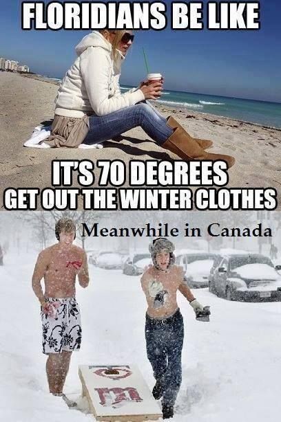 Funny Stereotypes, Canadian Funny, Canada Jokes, Canadian Stereotypes, Canadian Memes, Canada Memes, Canadian Humor, Meanwhile In Canada, Canada Eh