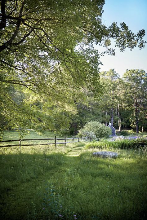 Wild Backyard Landscaping, Dan Pearson, Green Backyard, British Landscape, Garden Estate, British Garden, Landscape Designer, Farmhouse Ideas, Style Magazine