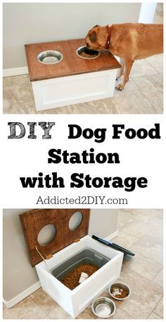 Download the free plans and tutorial for this DIY Dog Food Station with Storage underneath. Dog Food Station With Storage, Diy Dog Food Station, Dog Food Station, Diy Dog Food, Food Stations, Dog Food Storage, Spend Money, Diy Dog, Cane Corso