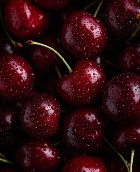 Burgundy Aesthetic, Cherry Girl, I See Red, Cherry Wine, Stone Fruit, Aesthetic Colors, Jolie Photo, Black Cherry, Red Aesthetic