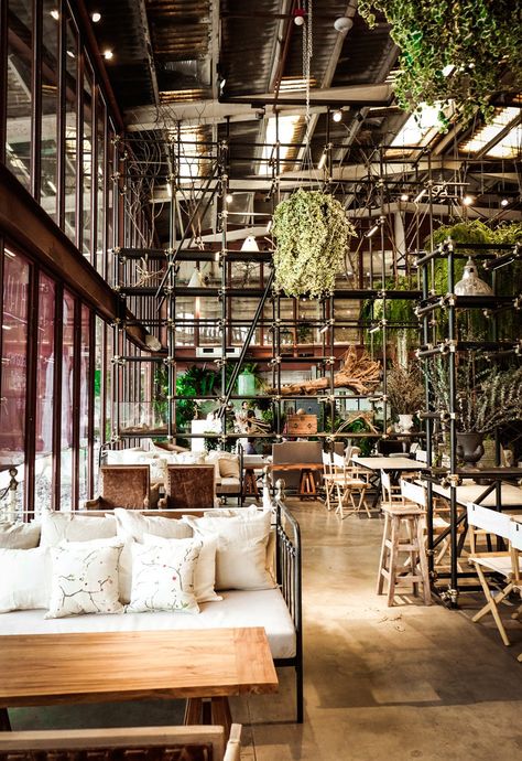 Vivarium restaurant in Bangkok by Hypothesis Bangkok Restaurant, Greens Restaurant, Converted Warehouse, Fusion Restaurant, Thai Design, Magic Places, Decoration Restaurant, Thai Restaurant, Restaurant Ideas