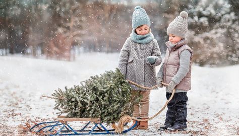 Christmas Photo Ideas, Winter Family Photos, Holiday Mini Session, Christmas Mini Sessions, Winter Photoshoot, Winter Family, Winter Photo, Winter Photos, Video Library