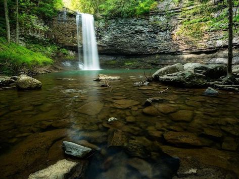 Mysteries Of Georgia’s Cloudland Canyon Waterfalls - NewsBreak North Georgia Waterfalls, Georgia Waterfalls, Tallulah Gorge, Cloudland Canyon, Petrified Forest National Park, Hemlock Grove, Petrified Forest, Volcano National Park, Bryce Canyon National Park