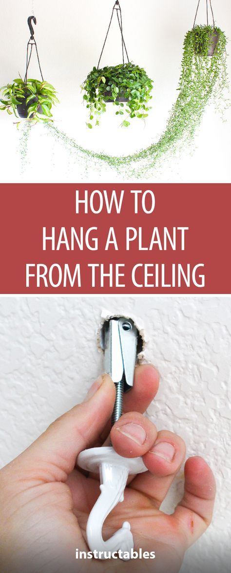 Hanging Plants Indoor Living Rooms, Hanging Plants On Fence, Hanging Plants Indoor Bedroom, Hang Plants From Ceiling, Hanging Plants Outdoor, Hanging Plants Diy, Plants In Pots, Artificial Hanging Plants, نباتات منزلية