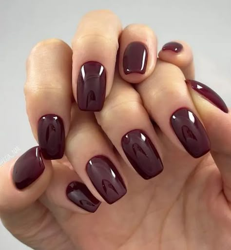 Wine Color Dip Powder Nails, Cnd Dark Lava, Dnd Gel Dark Colors, Dip Nail Ideas For Fall, Dark Colours Nails, Fall Nails Color Ideas, Nail Colours For Fall 2024, Fall Nail Colors 2024 Gel Dnd, Call Nail Colors 2024