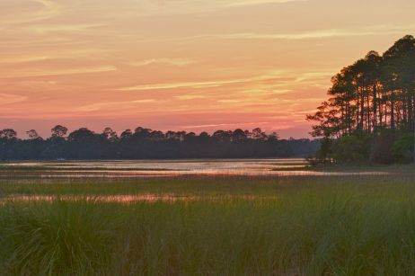 Sunset on the Marsh Marsh Painting, Where The Crawdads Sing, Salt Marsh, Kiawah Island, Painting Subjects, Welcome To My World, Water Painting, Low Country, Nature Images