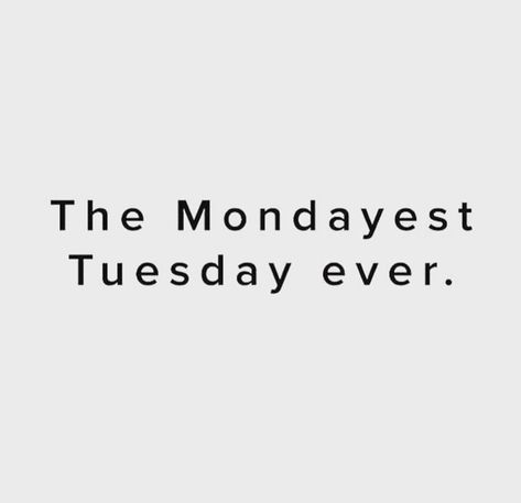 Mondayest Tuesday Ever, Funny Tuesday Quotes Hilarious, Tuesday Captions, Transforming Quotes, Tuesday Quotes Funny, Tuesday Vibes, Tuesday Meme, Monday Memes Humor, Funny Monday Memes