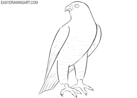 easiest way to draw a falcon Falcon Drawing Easy, Falcon Outline, Comic Poses, Falcon Drawing, Falcon Art, Paw Drawing, Forest Drawing, Abc Art, Draw Two