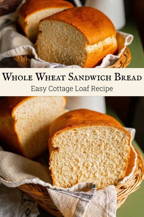 Cottage Whole Wheat Sandwich Bread: The Perfect Bread Recipe Fast Whole Wheat Bread, Sandwich Bread Recipe Whole Wheat, Light Wheat Bread Recipe, Whole Grain Sandwich Bread Recipe, Whole Wheat Loaf Bread Recipe, Soft Whole Wheat Bread Recipe, Honey Wheat Sandwich Bread Recipe, Wheat Bread Recipe Homemade, Fresh Milled Flour Bread Recipe