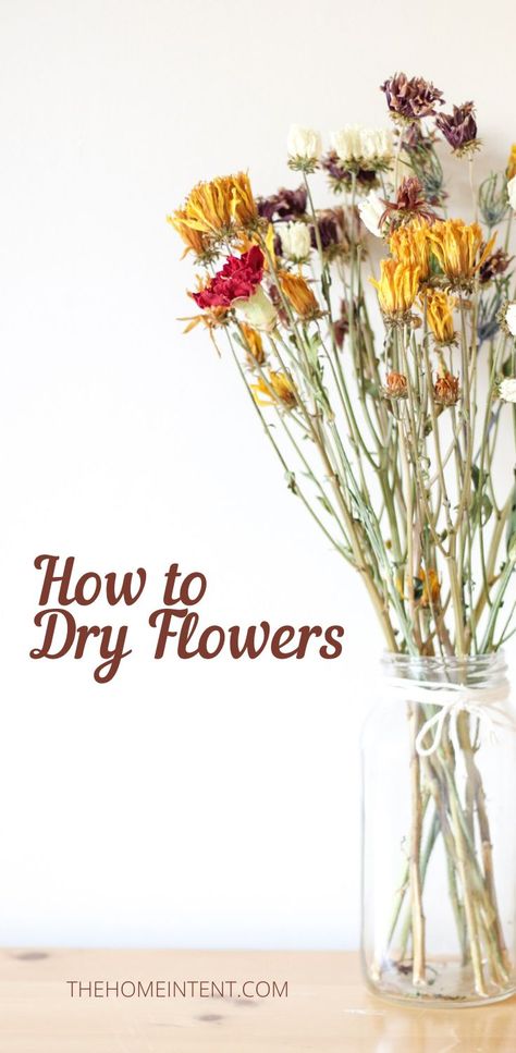 Flowers That Can Be Dried, How To Make A Dried Flower Bouquet, How To Dry Daisies, Best Way To Dry Flowers, How To Dry Bouquet Flowers, Dry Flowers Diy, How To Dry Out Wedding Bouquets, How To Dry Out Flowers To Save, Diy Dried Flower Bouquet