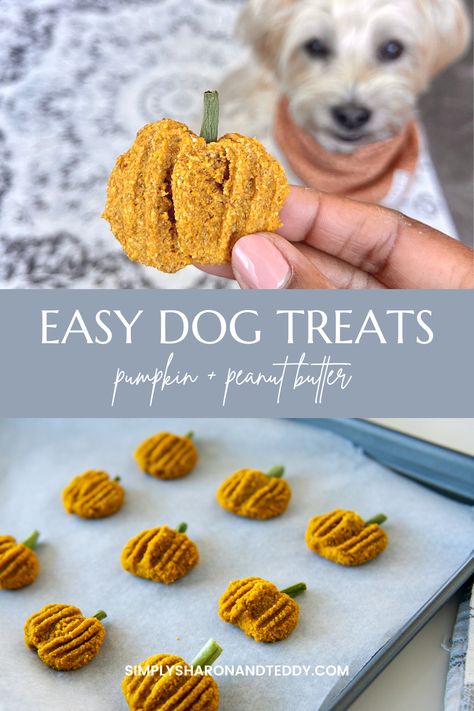 Pumpkin Dog Treat, Dog Cookie Recipes, Pumpkin Peanut Butter, Peanut Butter Oat, Homemade Pet Treats, Pumpkin Pie Cookies, Pet Treats Recipes, Dog Treats Homemade Easy, Easy Dog Treat Recipes