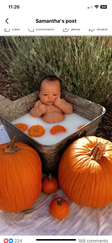 Pumpkin Milk Bath, Halloween Milk Bath Baby, Mom And Baby Pumpkin Patch Pictures, Apple Milk Bath Photos, Spooky Milk Bath Maternity, Kiddie Pool Photoshoot Milk Bath, Pumpkin Patch Pictures, Milk Bath, Baby In Pumpkin