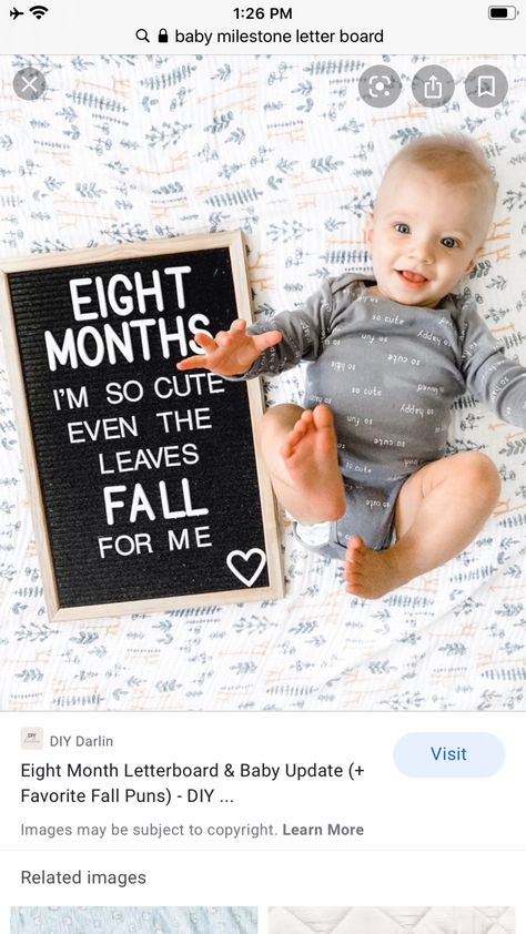 8 Months Old Baby Caption, 8 Month Old Photo Ideas, 8months Baby Photoshoot, 8 Month Baby Photoshoot, Baby Bump Progression, Letterboard Ideas, 8 Month Baby, Baby Boy Newborn Pictures, Baby Boy Newborn Photography