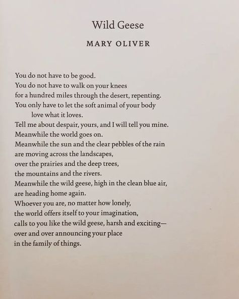 @poetryisnotaluxury on Instagram: "Mary Oliver Sending love out to a dear friend with this reminder 💌 Wild Geese You do not have to be good. You do not have to walk on your knees for a hundred miles through the desert, repenting. You only have to let the soft animal of your body love what it loves. Tell me about despair, yours, and I will tell you mine. Meanwhile the world goes on. Meanwhile the sun and the clear pebbles of the rain are moving across the landscapes, over the prairies and th Wild Geese Mary Oliver, Mary Oliver Quotes, Mary Oliver Poems, Animal Poems, Wild Geese, Blue Air, Best Poems, Mary Oliver, Sending Love