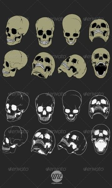 Zombie Realistic, Realistic Skeleton, Skull Artwork Illustrations, Realistic Skull, Skull Anatomy, Skull Reference, Skull Stencil, Skeleton Drawings, Elements Illustration