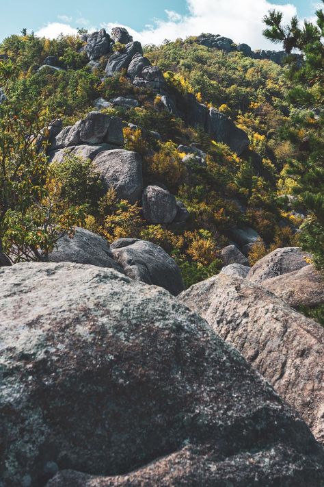 Old Rag Mountain Virginia, Mountain Trail, Virginia Is For Lovers, Hiking Aesthetic, Shenandoah National Park, Virginia Usa, Mountain Trails, Nature Travel, Places Ive Been