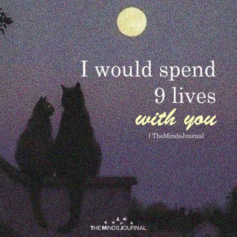 I Would Spend 9 Lives With You, Living Two Lives Quotes Relationships, Random Sentences, You Saved My Life Im Just A Cat, Cute Messages For Him, Quotes Romantic, Love Texts For Him, 9 Lives, Feeling Wanted