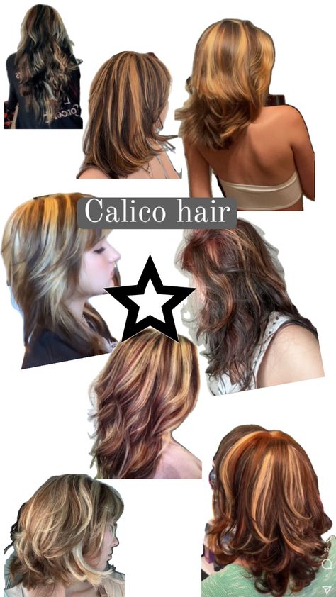 Calico Hair Color, Genderfluid Haircut, Under Hair Color, Calico Hair, Short Grunge Hair, Multicolored Hair, Mom Hairstyles, Pretty Hair Color, Funky Hairstyles