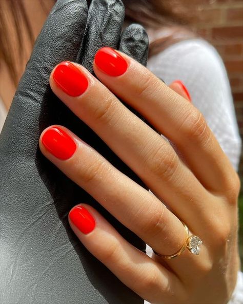 Saskia Fenwick on Instagram: "Poco POP🔥 @biosculpturegelgb @officialnavyprofessional #summernails #naturalnails #manicure" Permanent Polish Nails, Permanent Polish Nails Ideas, Watermelon Colored Nails, Polish Nails Ideas, Permanent Polish, Flashy Nails, Pretty Hurts, Fun Nail Colors, Polish Nails