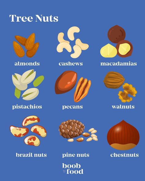 Cashew Allergy, Nut Allergy, Packaged Snacks, Brazil Nuts, Almond Nut, Food Allergy, Nut Butters, Tree Nuts, Pine Nuts